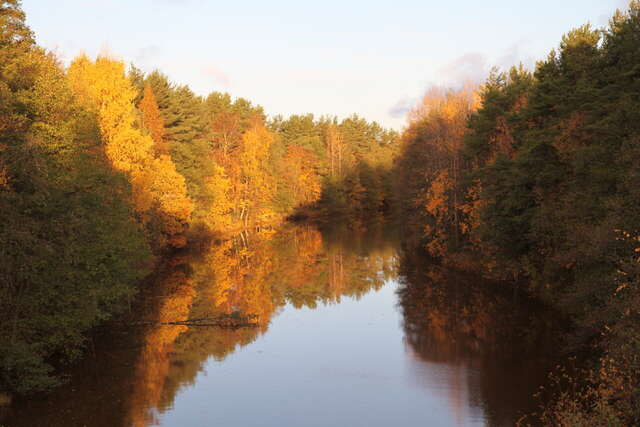 Гостиница Дюны Сестрорецк-237