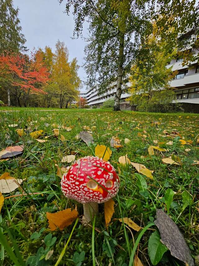 Гостиница Дюны Сестрорецк-127