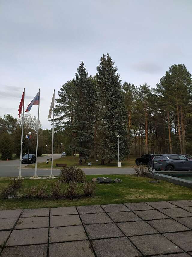 Гостиница Дюны Сестрорецк-250