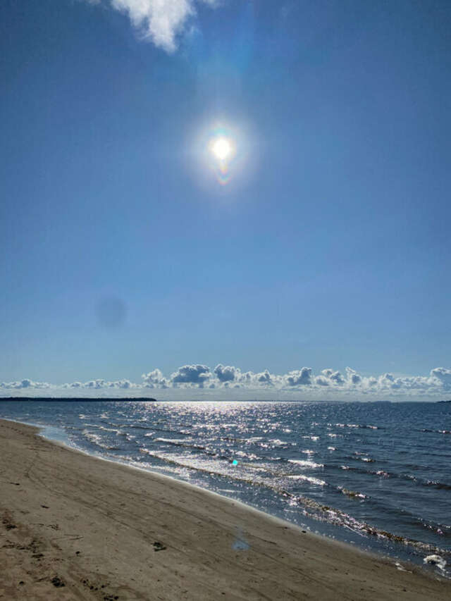 Гостиница Дюны Сестрорецк-189