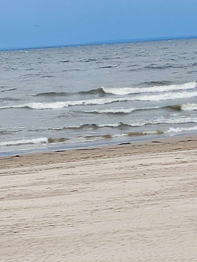 Гостиница Дюны Сестрорецк-233