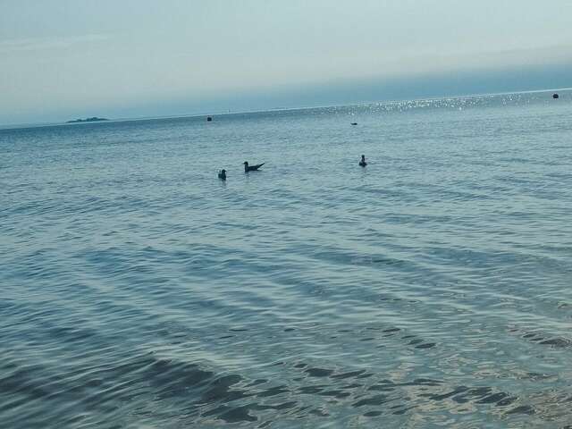 Гостиница Дюны Сестрорецк-156