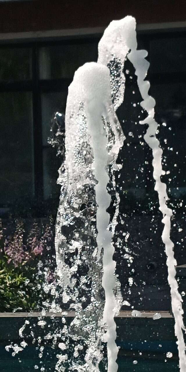 Гостиница Дюны Сестрорецк-149