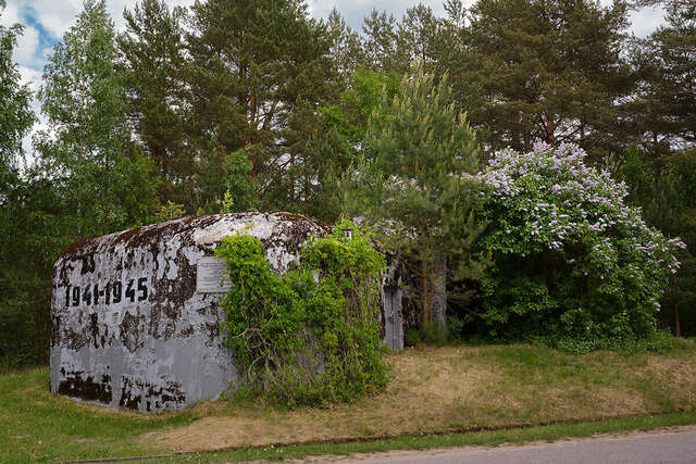 Гостиница Дюны Сестрорецк-68